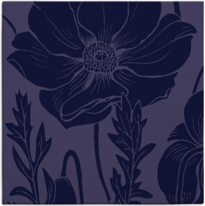 spirited rug - item 929654