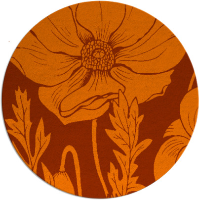 spirited rug - item 930647