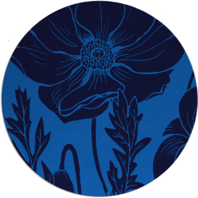 spirited rug - item 930677