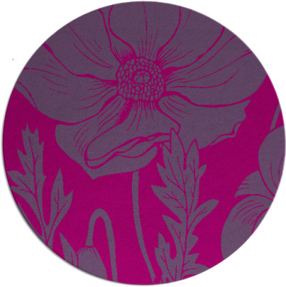 spirited rug - item 930684