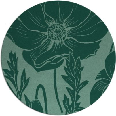 spirited rug - item 930704