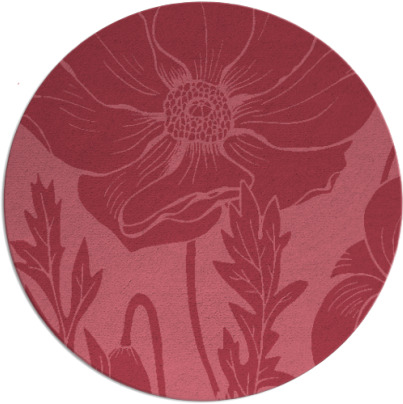 spirited rug - item 930744