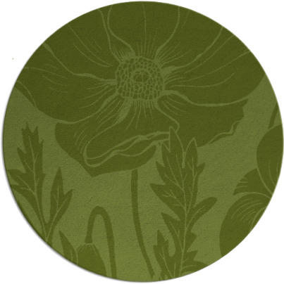 spirited rug - item 930774