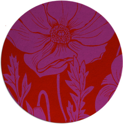 spirited rug - item 930905
