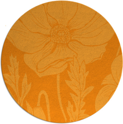 spirited rug - item 930997